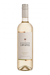 Vinho Fino Branco Seco Sauvignon Blanc 750ml